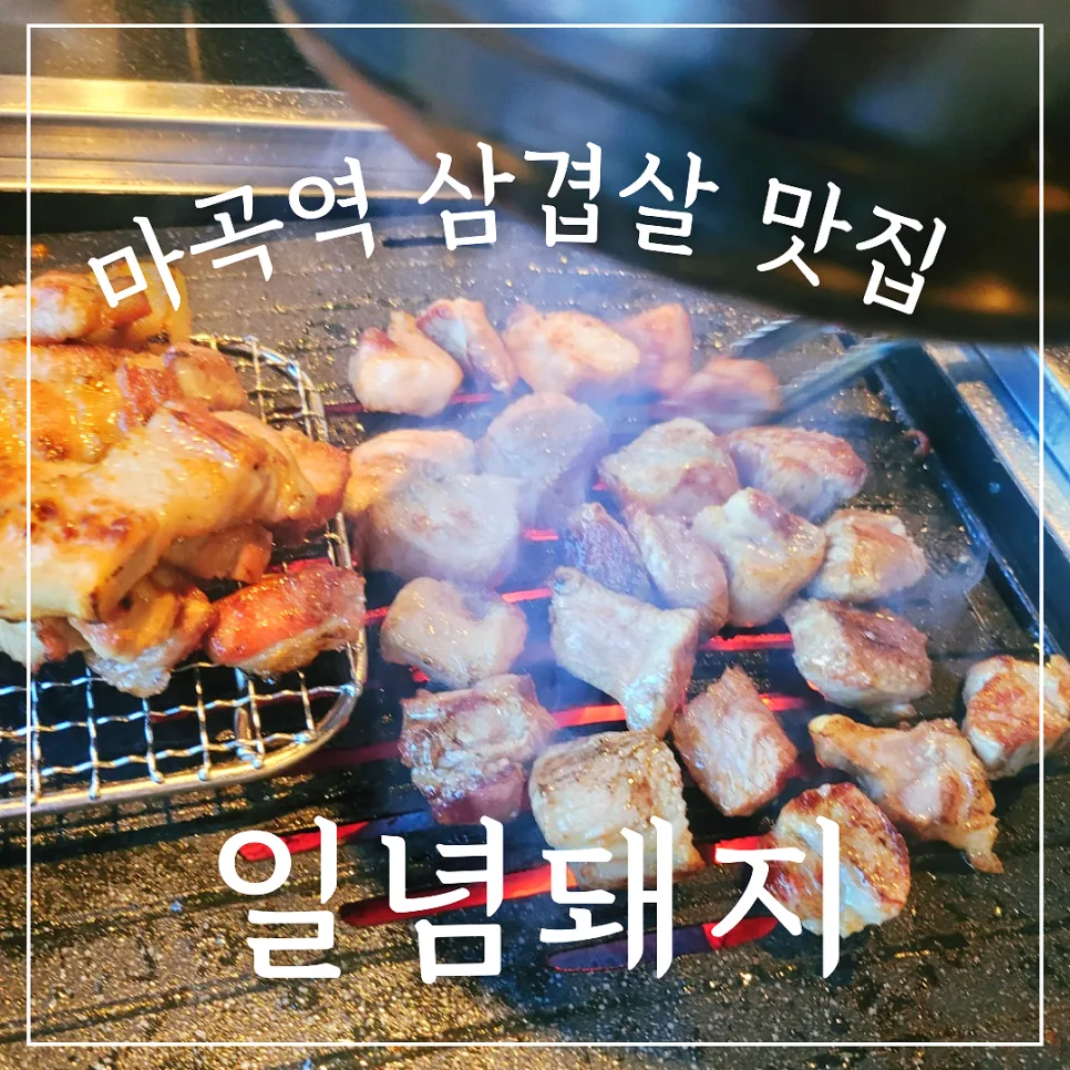 마곡역 고기 맛집 2026: 일념돼지 솔직 방문 후기 및 추천