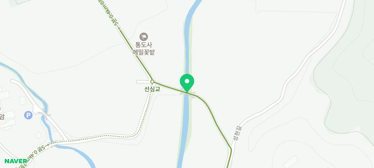 양산 통도사 메밀꽃밭 2026: 주차비, 개방 시간, 인생샷 명소 총정리