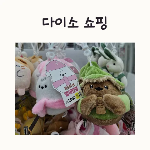 다이소 쇼핑 리스트 2026: 숨은 꿀템 찾는 꿀팁 공개