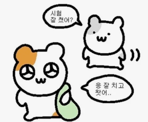 2025 대학 축제 라인업 총정리: 5월 주요 대학 일정 및 가수 라인업
