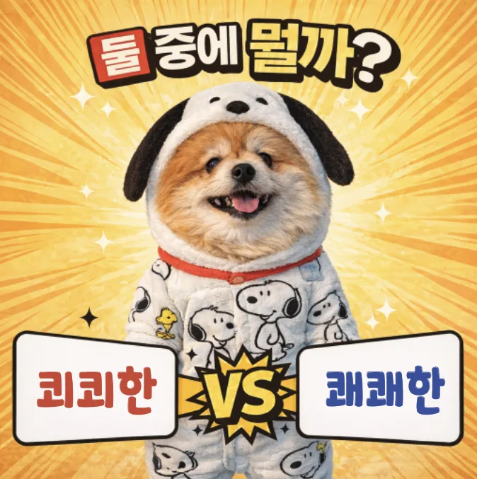 쾨쾨한 냄새 vs 쾌쾌한 냄새: 2026년 올바른 맞춤법 완벽 정리
