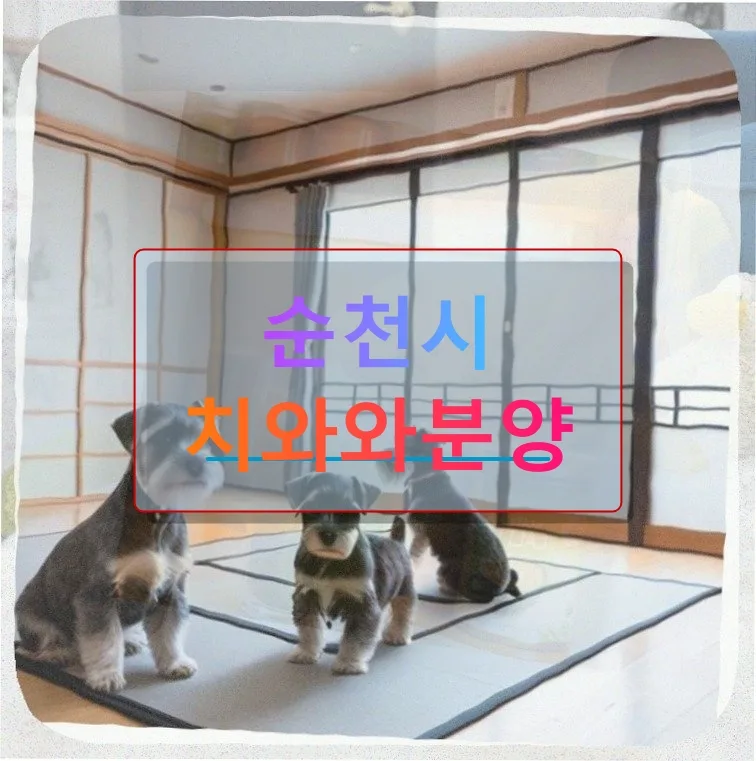 순천 치와와 입양 1년, 반려견 건강 관리 A to Z (2026)