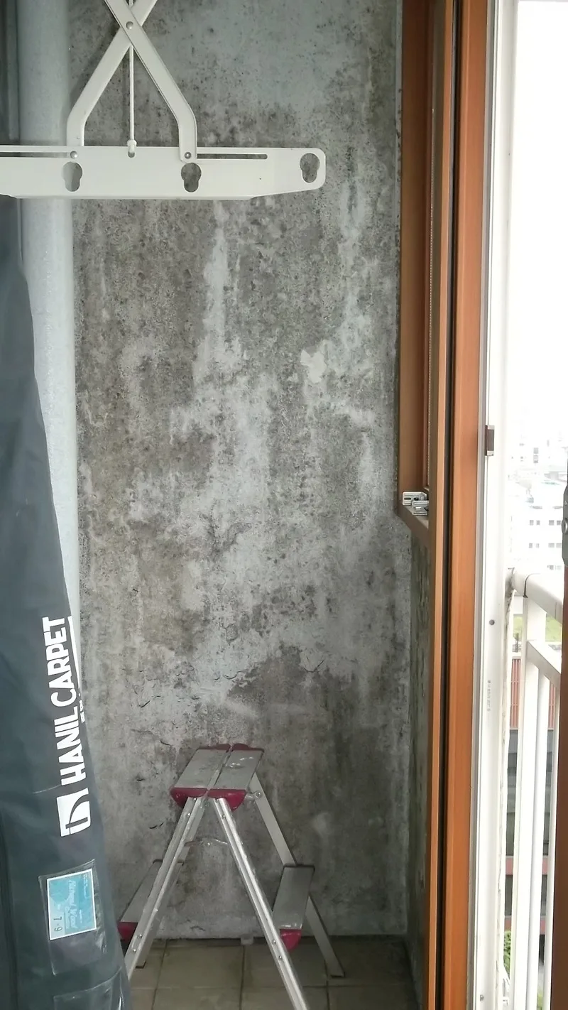 결로 곰팡이 재발 방지법: 원인 진단부터 단열 시공까지
