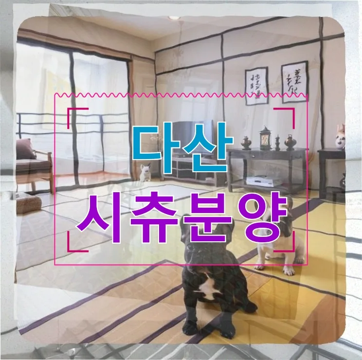 다산 시츄 분양 2026: 과체중 강아지 입양 절차와 비용 총정리