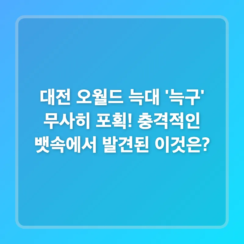 대전 오월드 늑대 '늑구' 탈출 후 뱃속 낚싯바늘 발견, 그 진실은? 2026