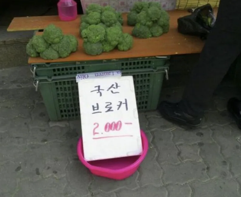 개인 임대사업자 종합소득세 신고 가이드 2026: 비용 인정 항목 총정리