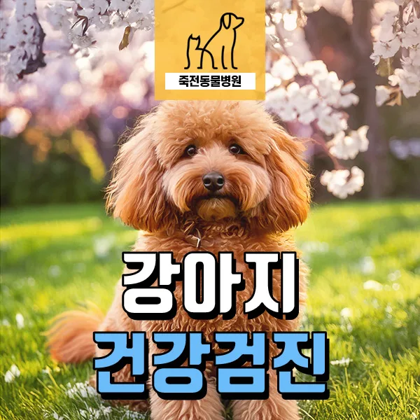 강아지 건강검진 항목, 연령별 필수 검사 2026년 총정리