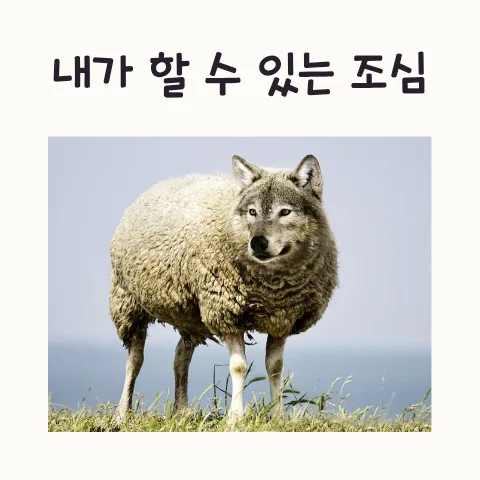 2026년 온라인 사기 예방: 3가지 위험 신호와 대처법