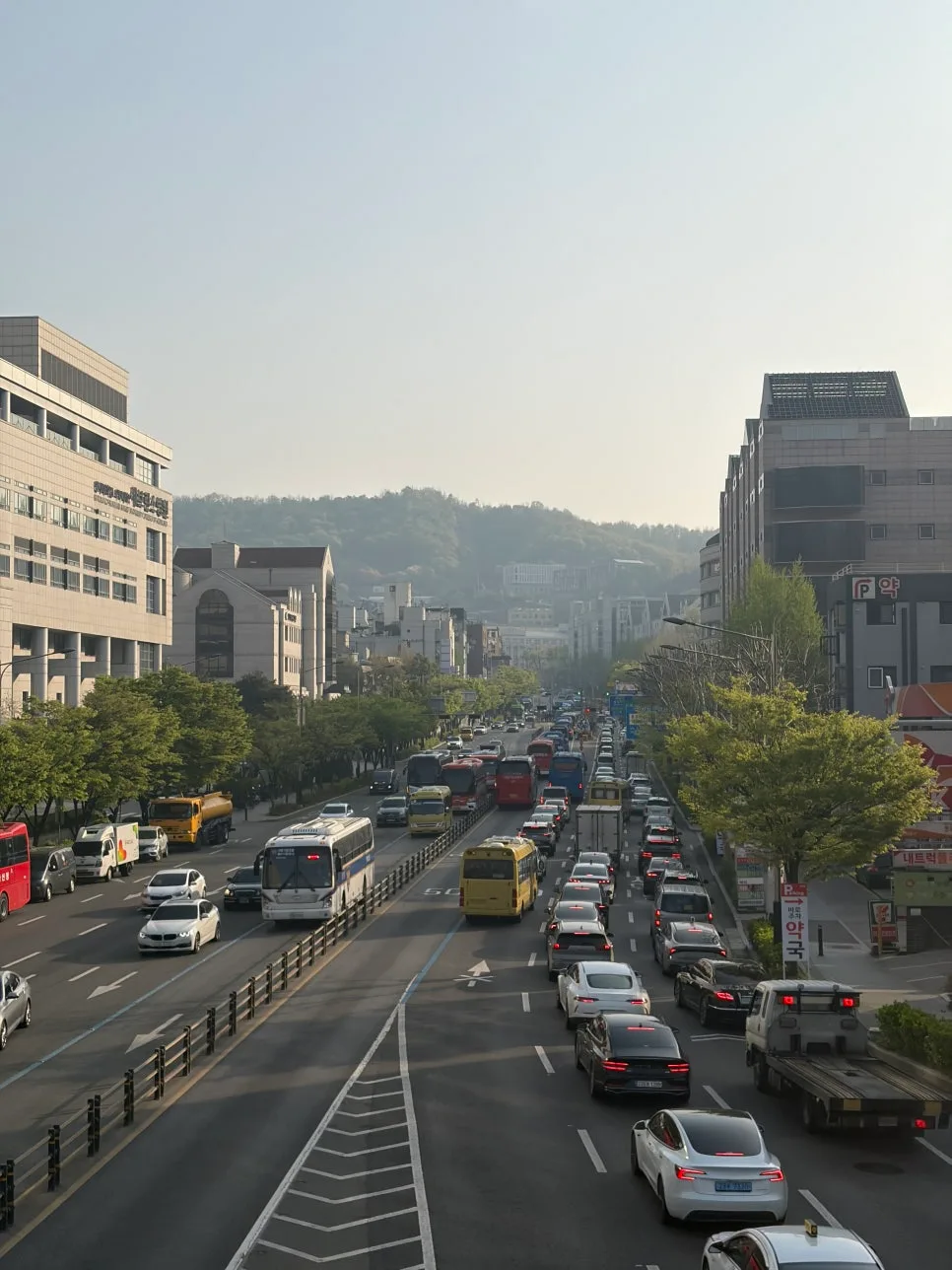 척수공동증 크기 변화 없는데 증상 심화? 연대 세브란스 진료 후기 2026