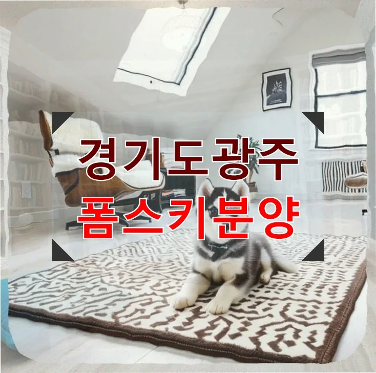 경기도 광주 폼스키 분양: 2026년 현실적 비용과 입양 준비 완벽 가이드