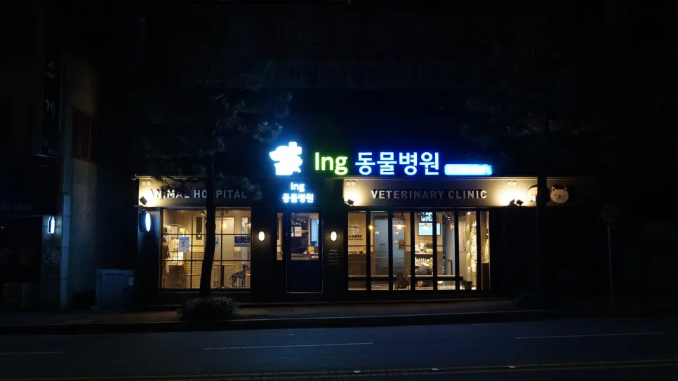 부산 해운대 강아지 건강검진, 아이앤지동물병원 경험 후기 2026 2