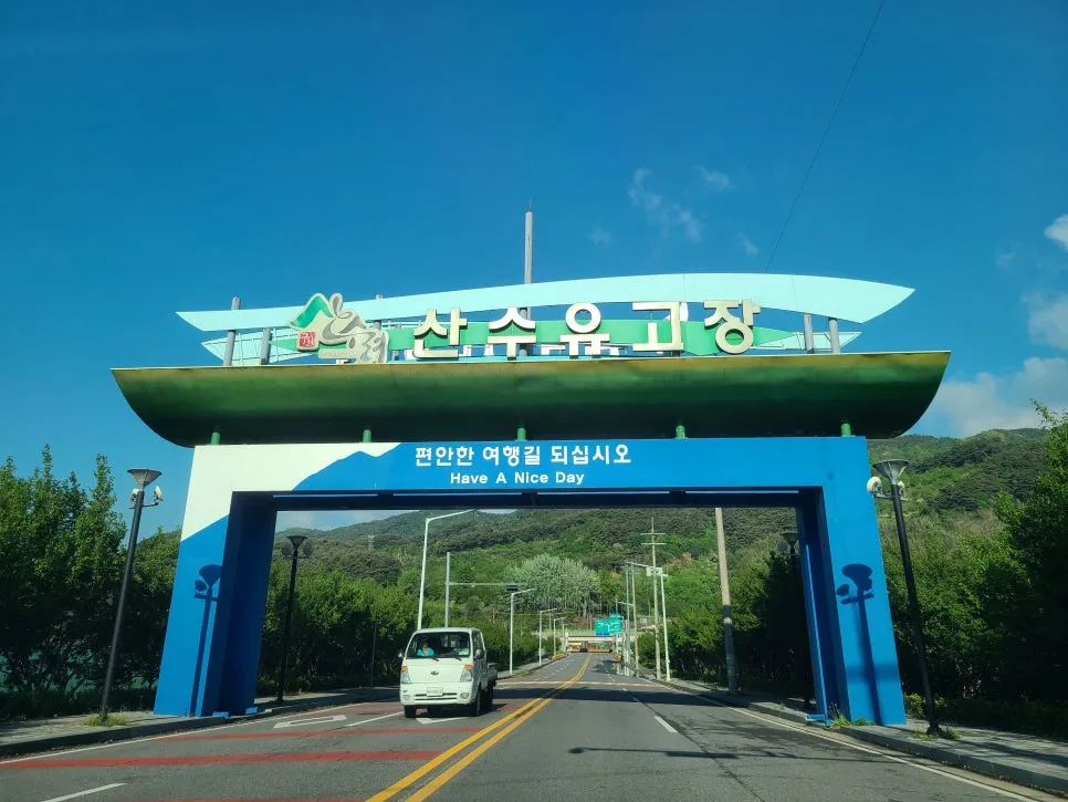 지리산 노고단 예약 완벽 가이드 2026: 주차부터 진달래 명소까지 2