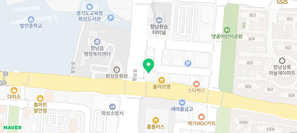 동탄 고양이 분양 2026: 독스캣 안심 입양 센터 후기 3