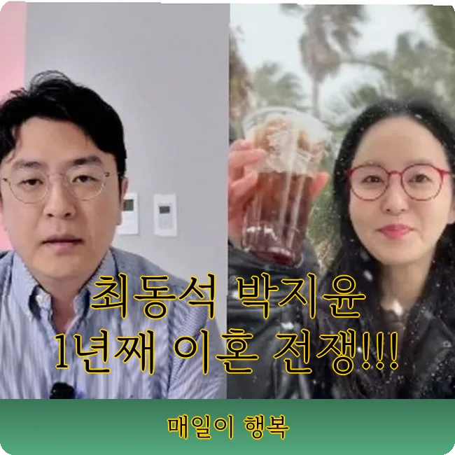 최동석 박지윤 이혼 쟁점 2026: 양육권·상간 소송 총정리