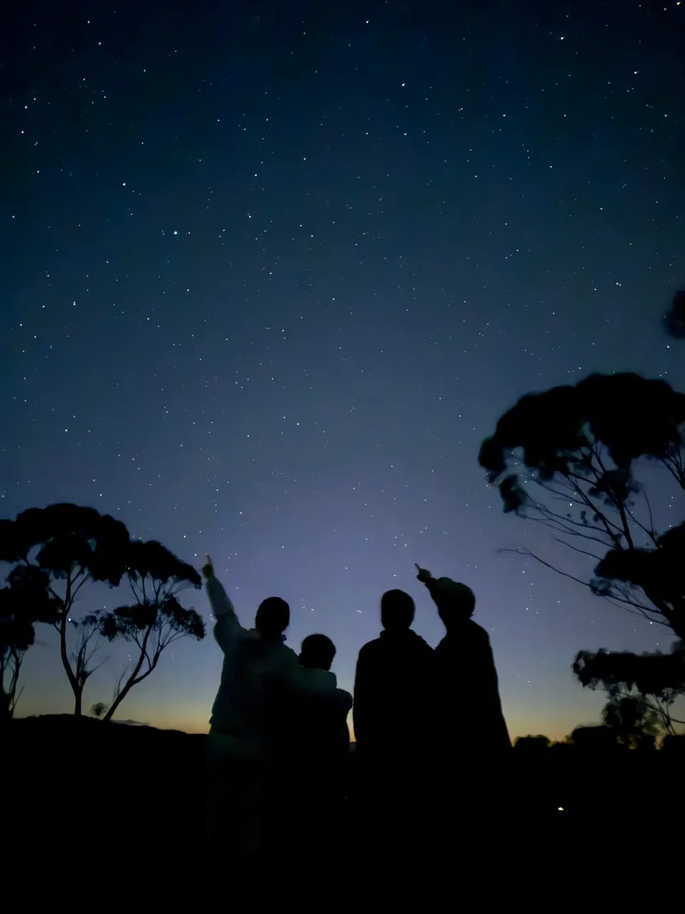 Family Month in Australia 2026: Parent's Guide