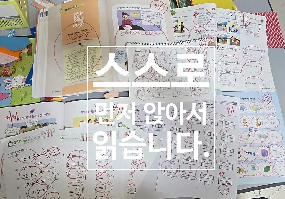 초1 국어 읽기력 19일 만에 향상 비결 2026