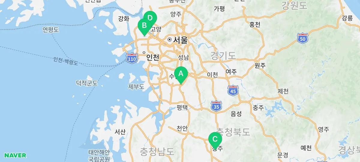 인천 고양이 분양, 도그마루 장점 5가지 비교 분석 2026