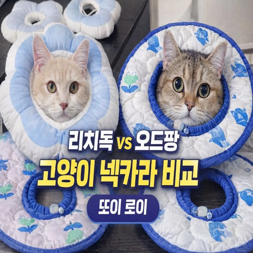 고양이 넥카라 비교 2026: 리치독 vs 오드팡, 우리 아이에게 맞는 선택은?