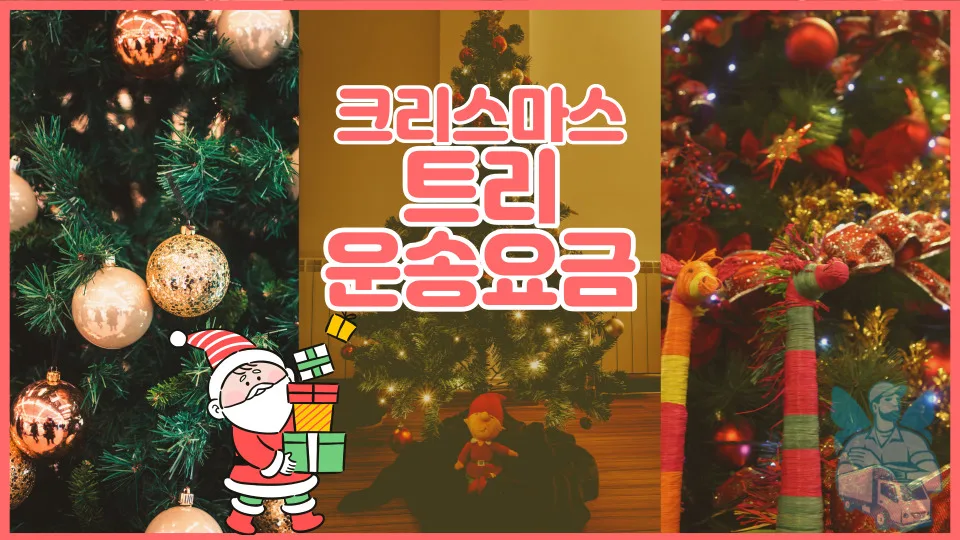 크리스마스 트리 운송 비용 및 차량 선택 가이드 2026