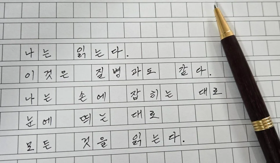 좋은 문장 쓰기 비결: 통사론 기반 호응 관계 완벽 정리 2026