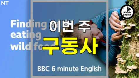 영어 구동사 2026: look for, rely on, work on, stick to, identify with 완벽 정리