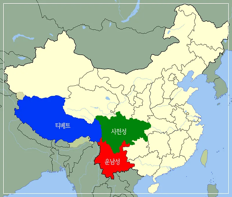 차나무 원산지 2025년 기준, 역사와 국내 분포 총정리