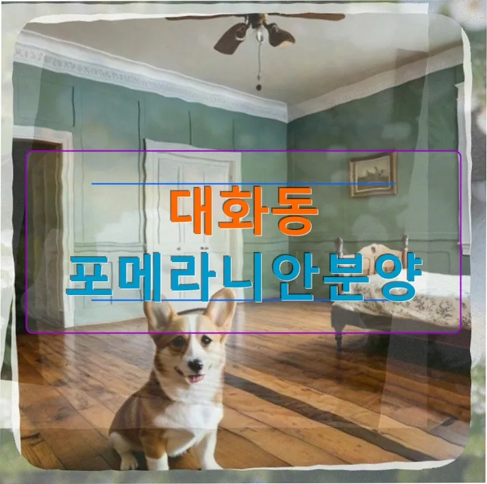 세 살 포메라니안, 새 강아지 입양 고민 2026년 현실 점검