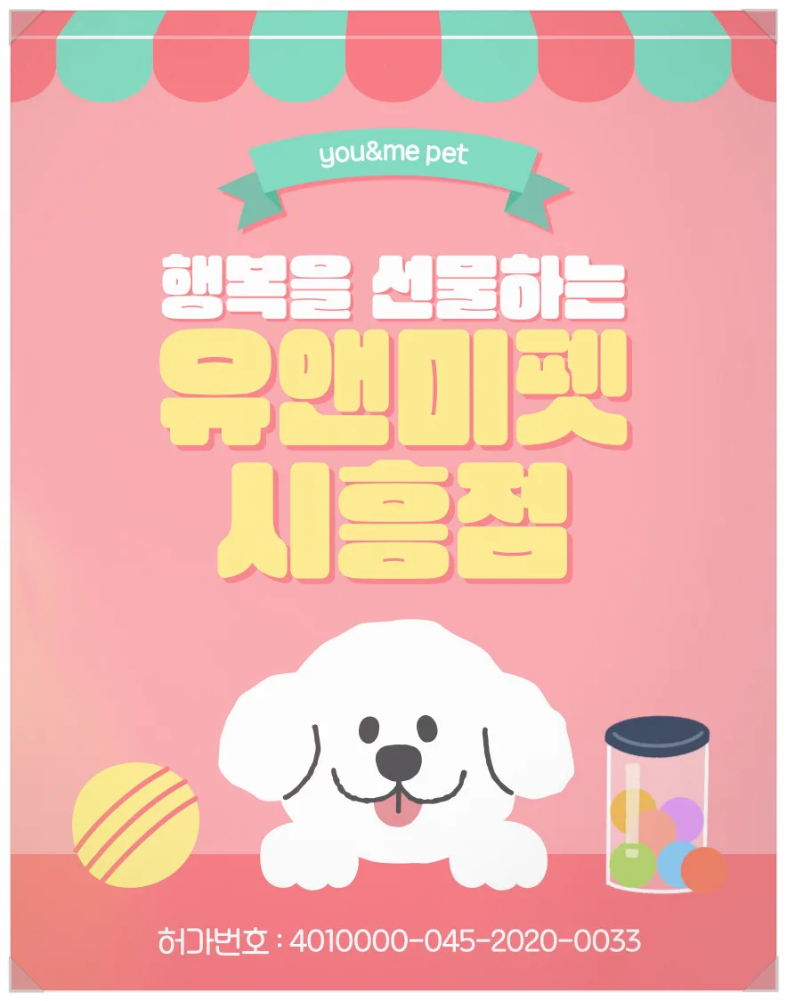 군포 말티푸 분양 2026: 유앤미펫 비교 후기 및 선택 가이드