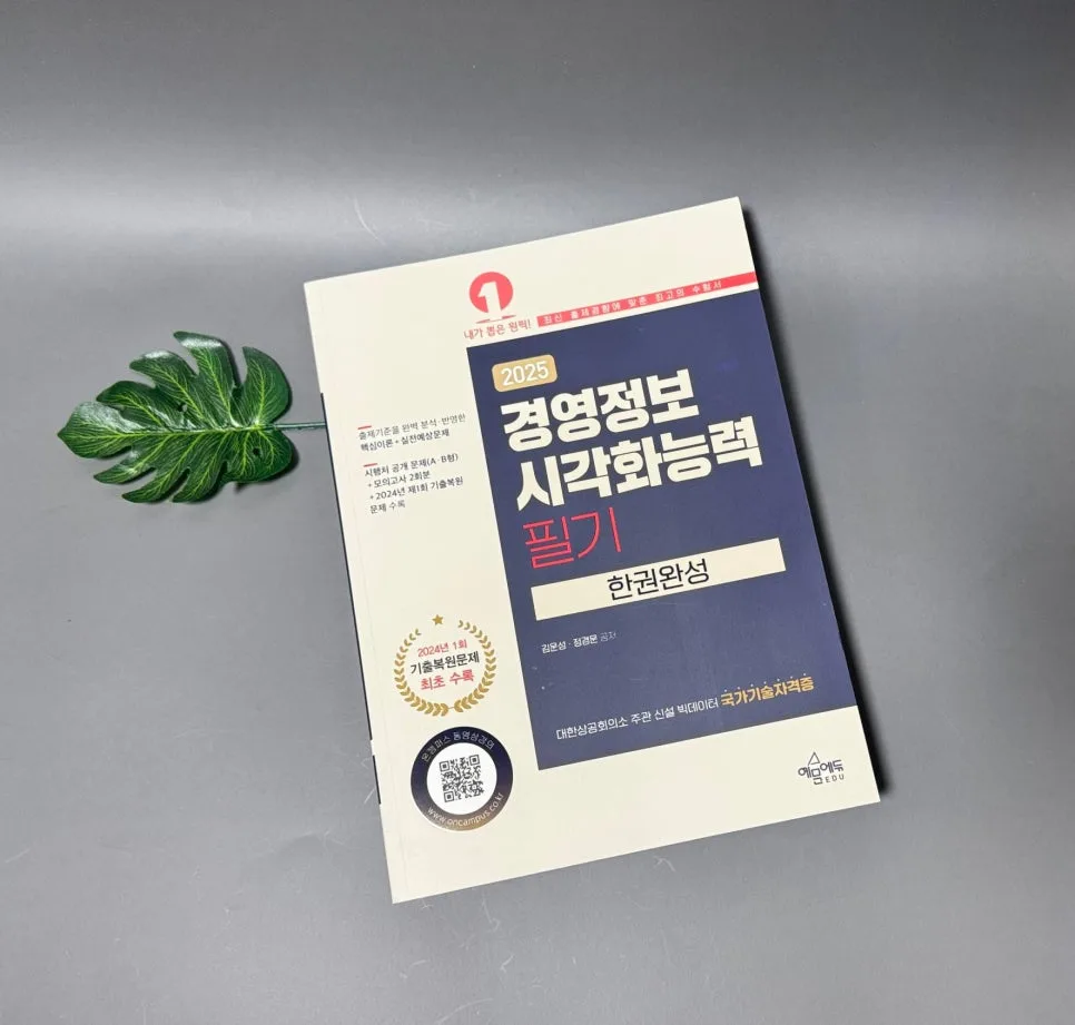 경영정보시각화능력 2025 필기 합격 전략: 핵심 요약 및 기출 분석
