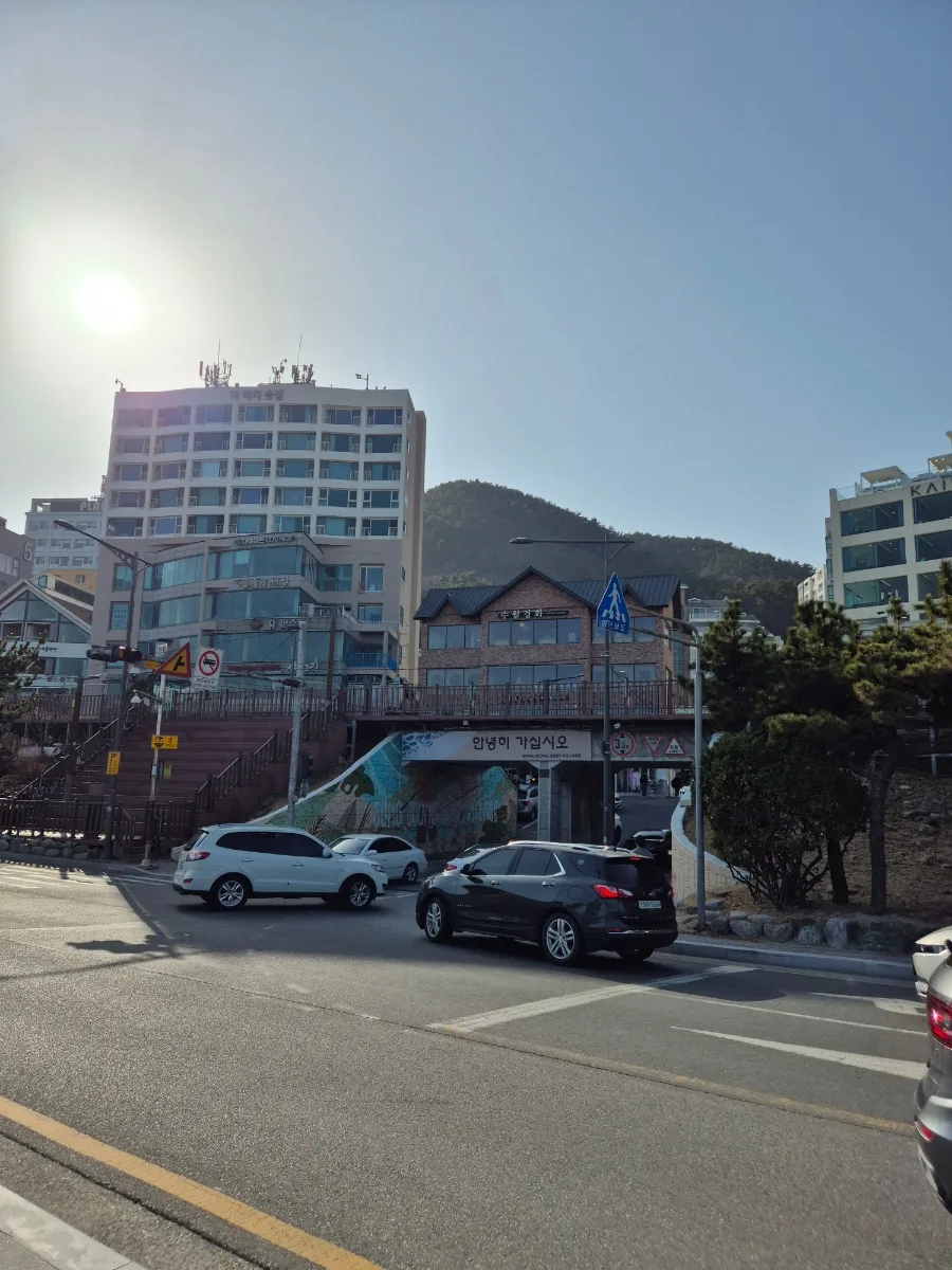 송정 카페 수월경화: 2026년 차 맛집 & 찻집 추천 3