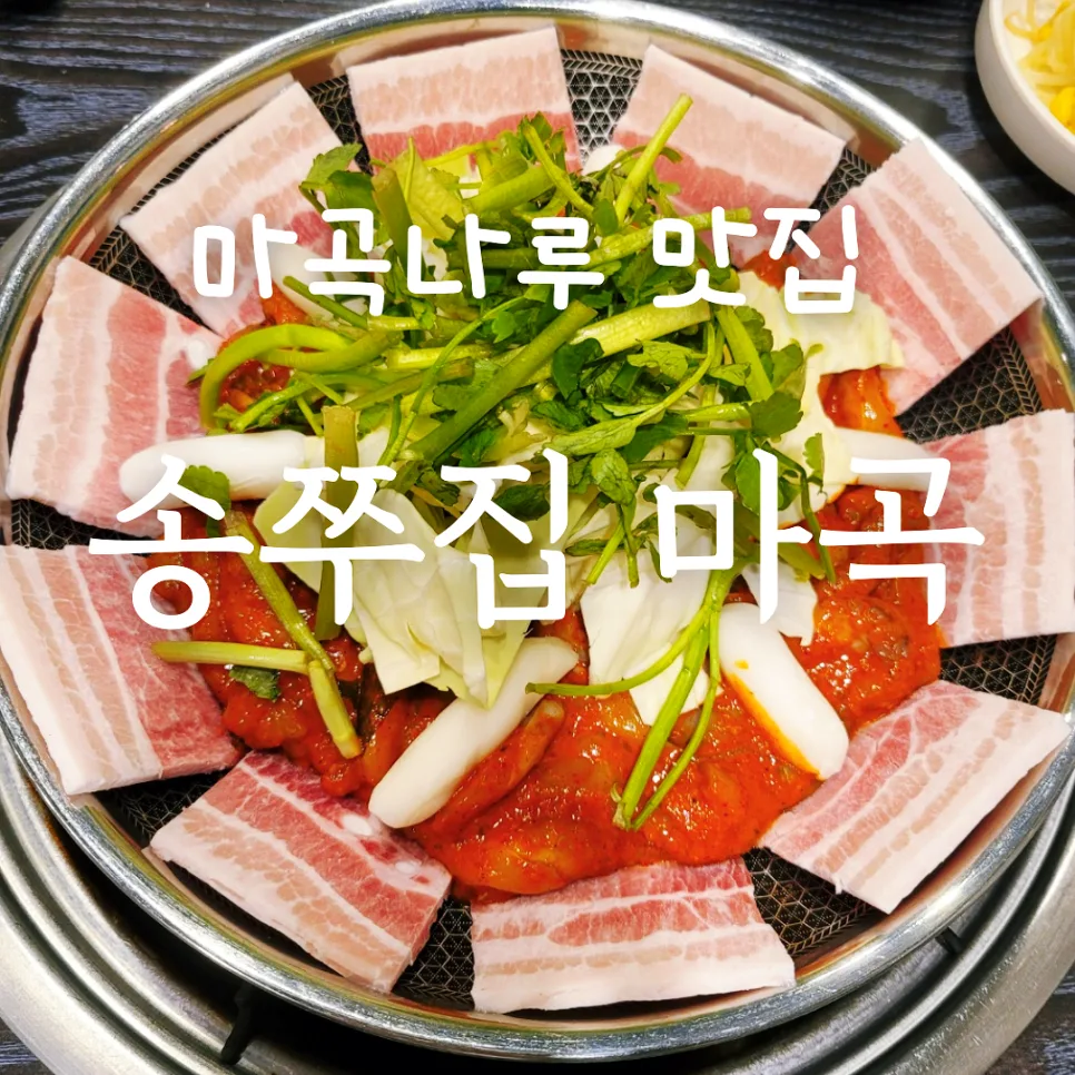 마곡나루 쭈꾸미 맛집 2026: 송쭈집 솔직 후기 및 추천 이유