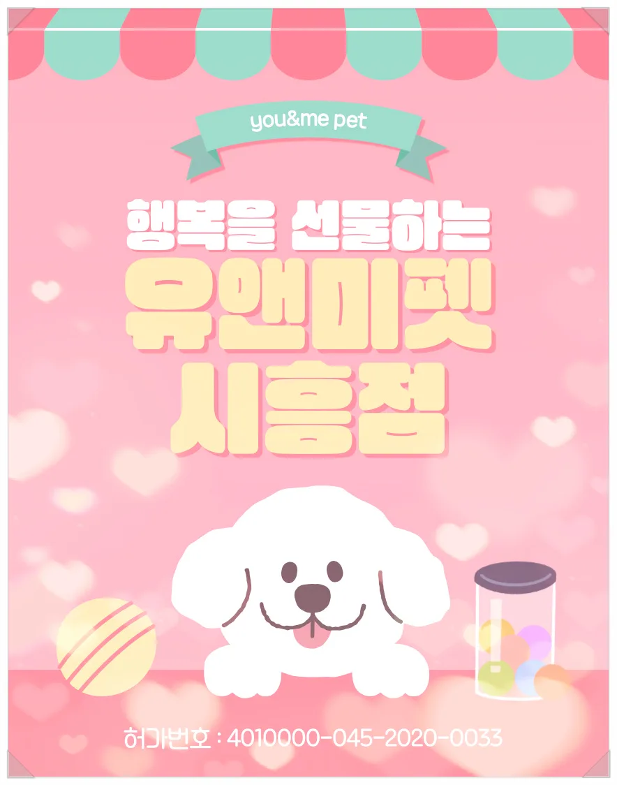 부천 먼치킨 고양이 분양, 유앤미펫 경험자 후기 2026