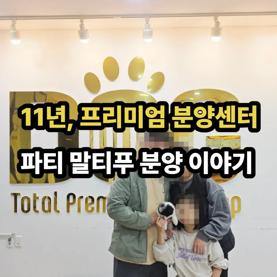 세종시 강아지 분양 2026: 파티말티푸 입양 성공 후기 및 주의사항 2