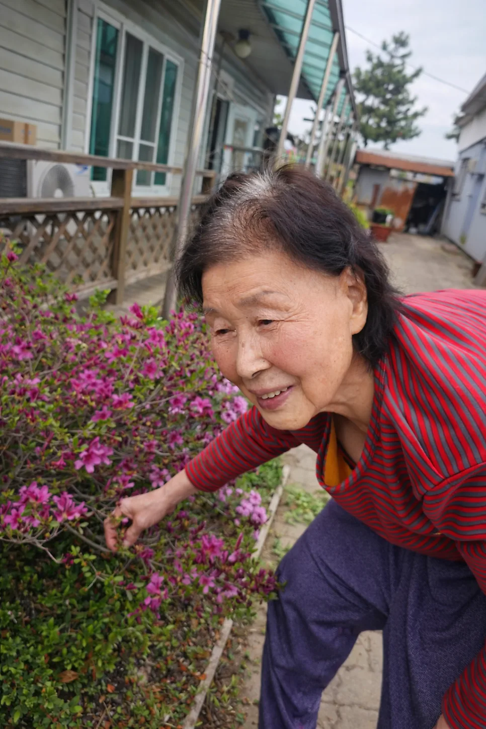 철거 현장 경험 2026: 과거와 현재를 잇는 나의 자리