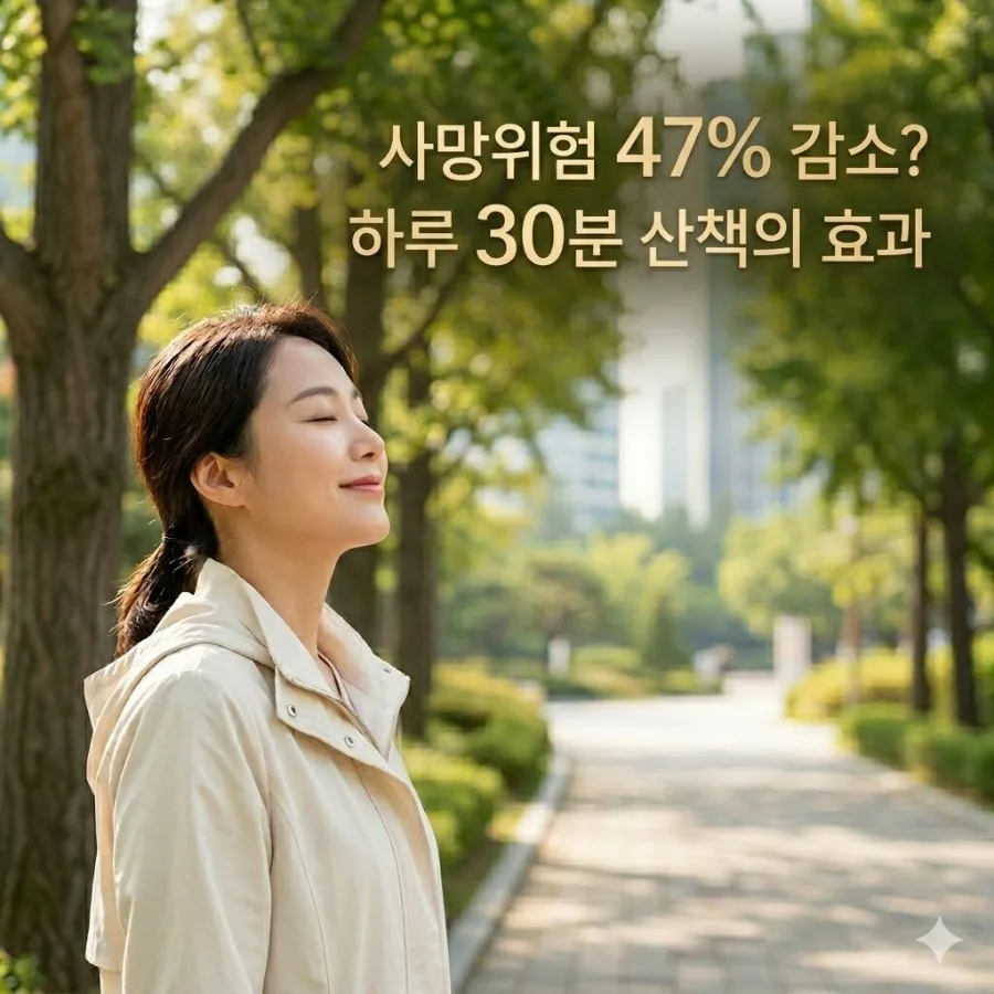 하루 30분 걷기, 사망 위험 47% 감소 효과 2026년 최신 연구