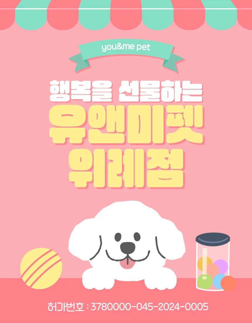 강릉 강아지분양 2026년, 믿을 수 있는 곳 찾는 법 A to Z