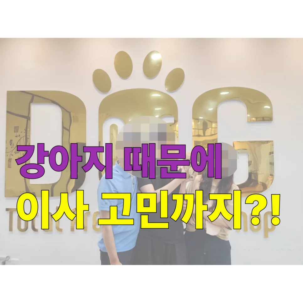 세종시 강아지 분양 2026: 믿음직한 곳 찾는 3가지 기준