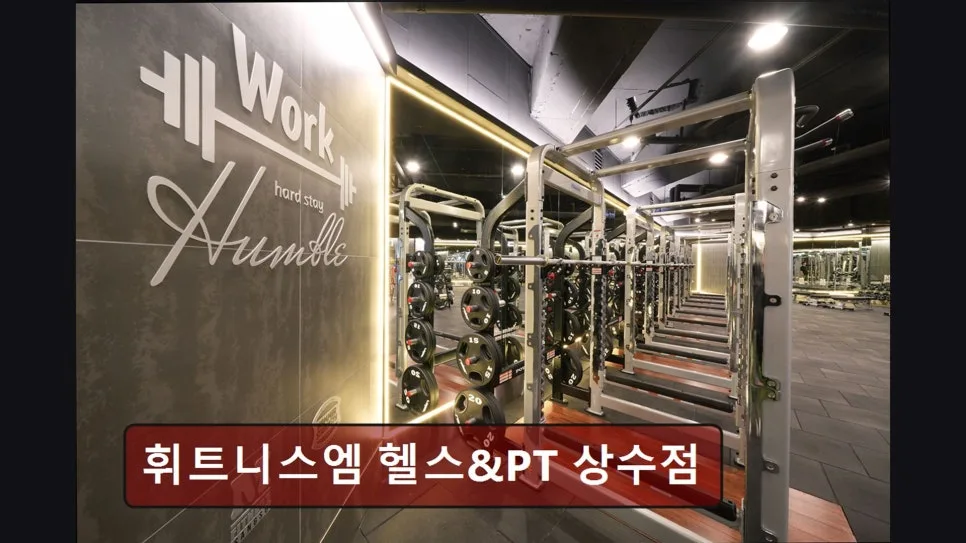 홍대 헬스장 휘트니스엠 상수점: PT, 시설, 가격 완벽 분석 (2026)
