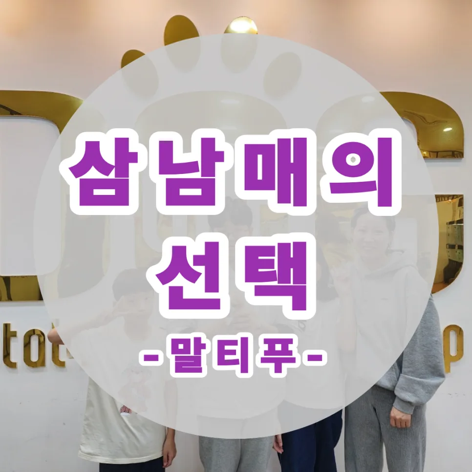 말티푸 분양 2026: 삼남매 가족의 행복한 입양 후기