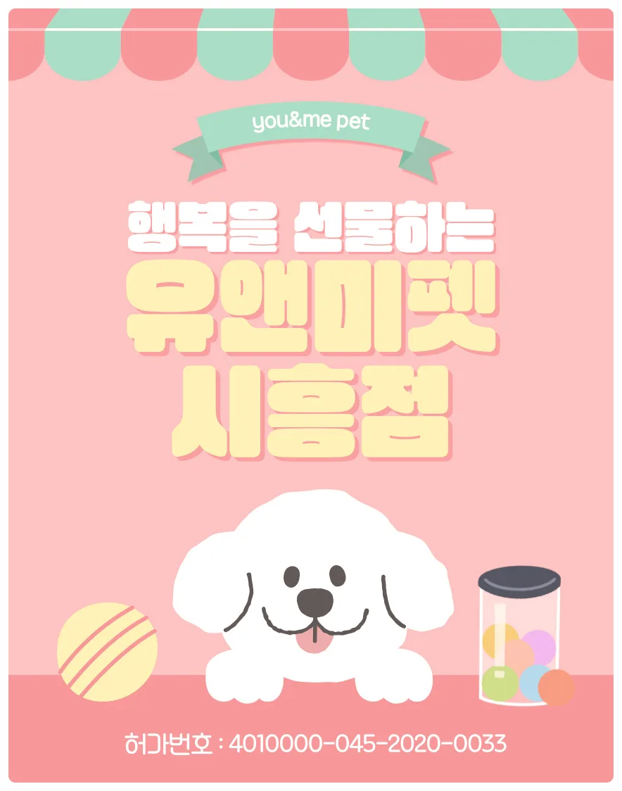 김포 러시안블루 분양 2026: 유앤미펫 후기 & 건강한 고양이 찾는 법