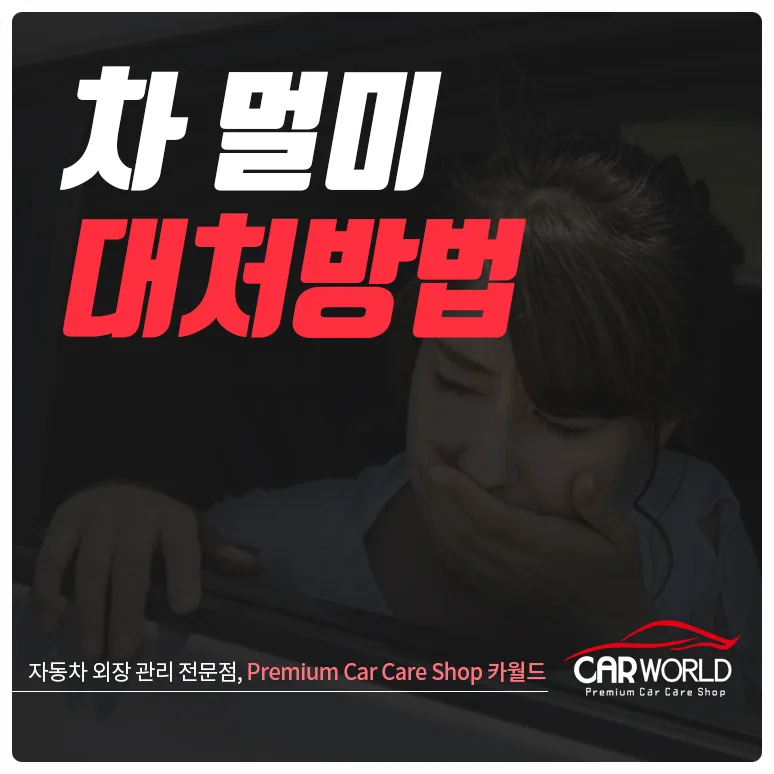 차 멀미 예방 및 대처법 2026: 완벽 가이드