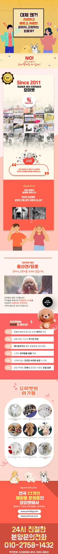 방배동 고양이 분양, 인생 고양이 만나는 법 2026 2