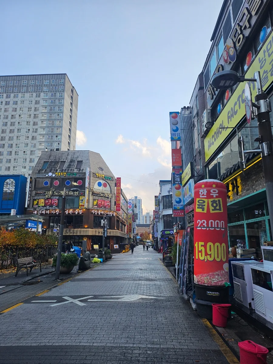 대만 151일차 컴백 기록 2026: 한국 방문 후기 및 팁