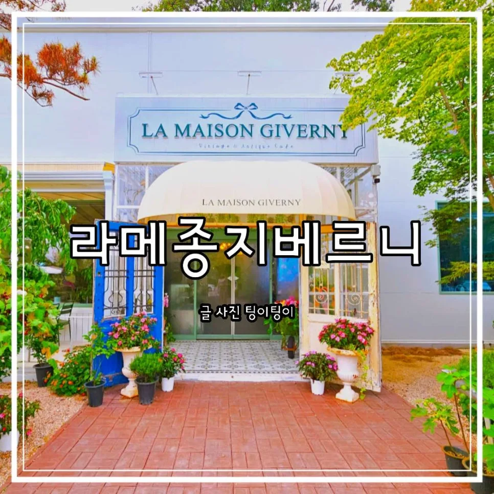 파주 애견동반카페 라메종지베르니, 분위기 좋은 2026년 방문 후기