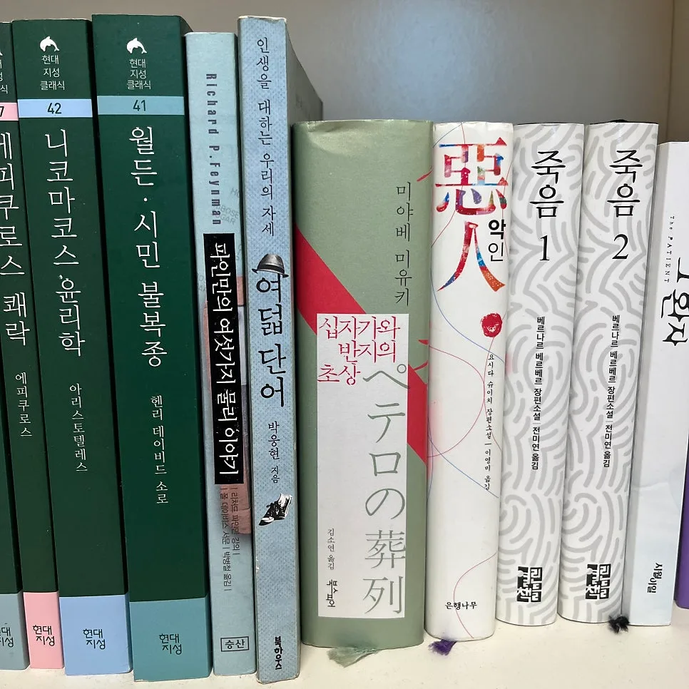 십자가와 반지의 초상 2026: 미야베 미유키 추리소설 심층 분석