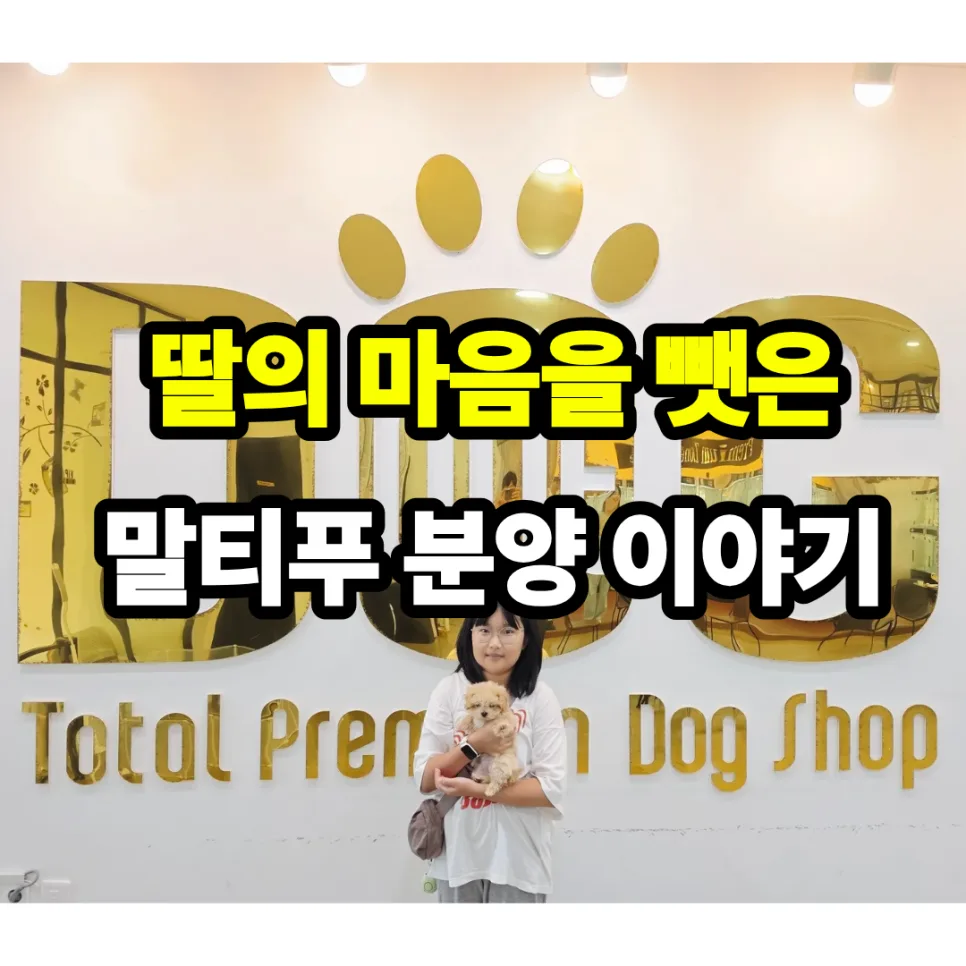 세종 강아지 분양 2026: 말티푸 입양, 아이의 행복을 위한 선택 2