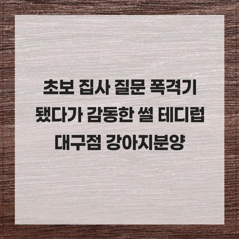 초보 집사도 안심! 강아지 분양 꿀팁과 테디럽 대구점 후기 2026