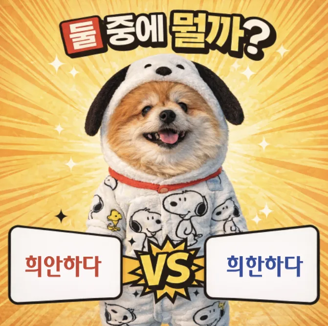희한하다 vs 희안하다: 2026년 맞춤법 오류 완벽 정리