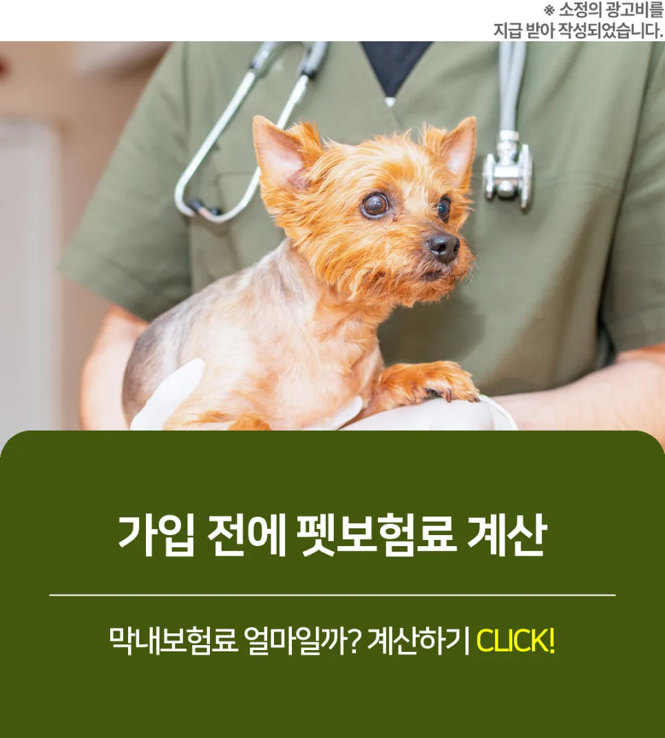 펫보험 2026년 총정리: 강아지·고양이 보험 비교 및 가입 가이드