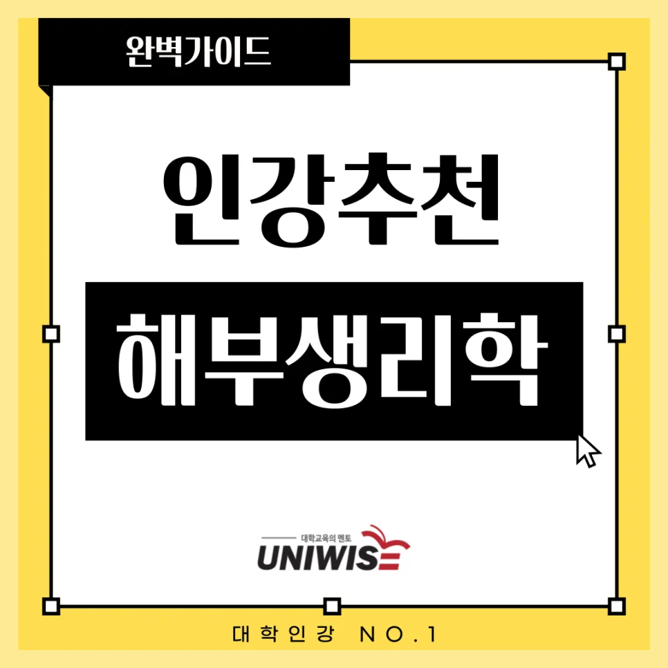 의대생 필수! 해부생리학 공부법과 최적 인강 추천 2026